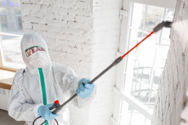  Aragon, GA Mold Removal Pros